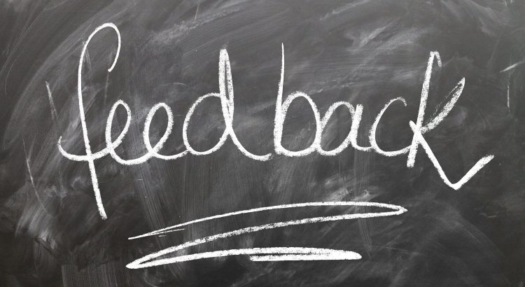 Website Review and Audits